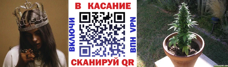 Магазин наркотиков Вилючинск Кокаин Псилоцибиновые грибы Меф мяу мяу ГАШ Каннабис