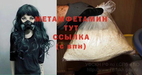 мдпв Янаул