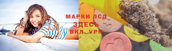 дживик Богородицк