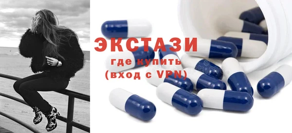 дживик Богородицк
