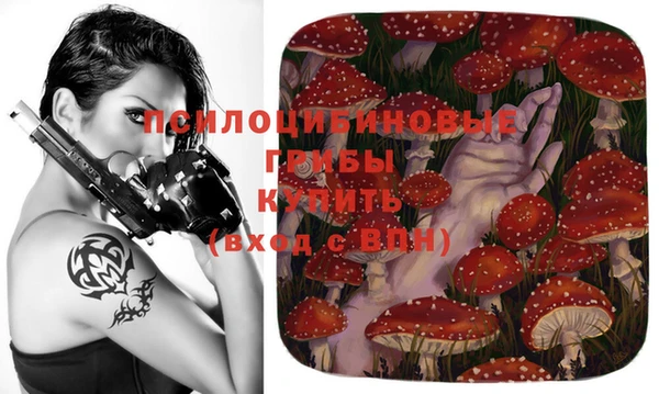 мдпв Янаул