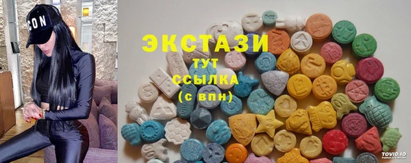 дживик Богородицк