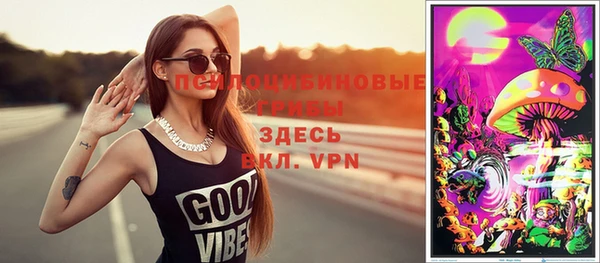 прущие грибы Яровое
