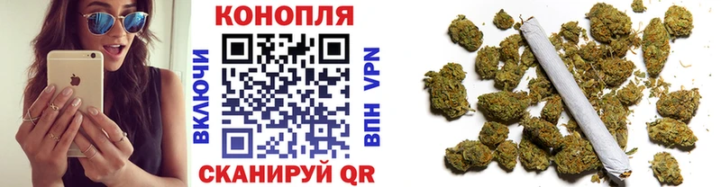 Бошки марихуана Bruce Banner  магазин продажи   Вилючинск 